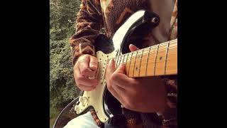 Scar Tissue Loop Jam - Red Hot Chili Peppers - Tom Moon