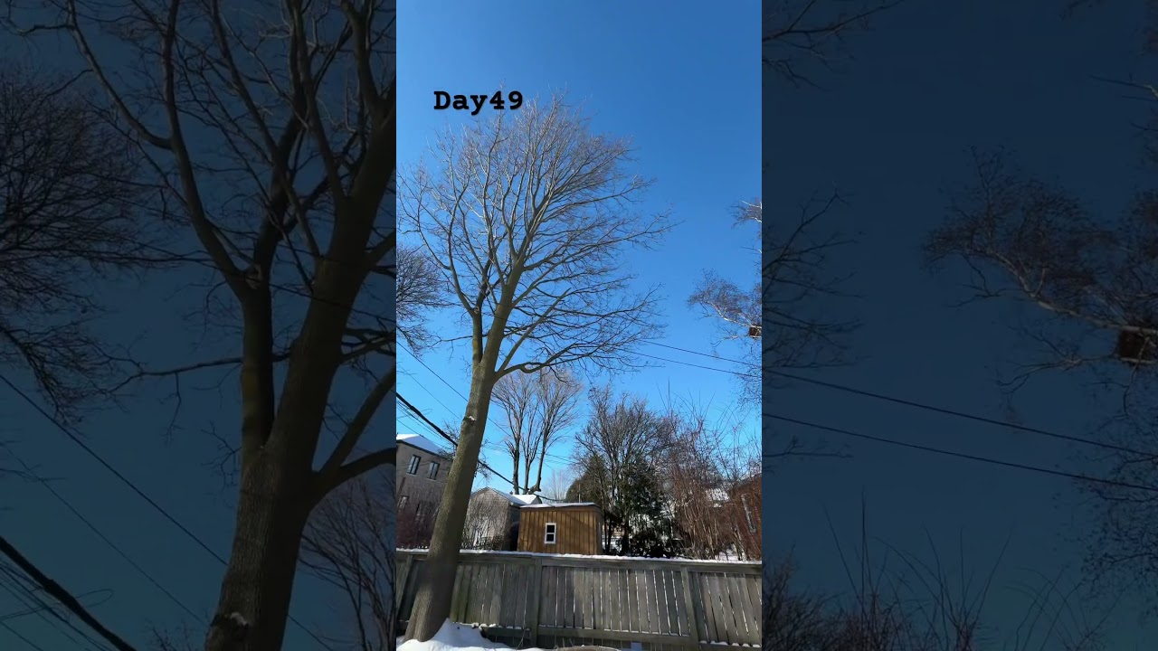 Day - 49; winter in Canada 🍁, 