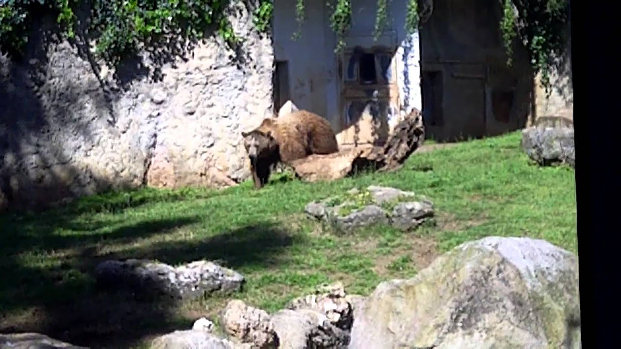 Un giorno al bioparco di Roma con Max Giusti - 07/04/2013