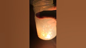 Firefly Experiment #zaferyildiz #shorts #short  #diy #viral #led #circuit #electronics #diyproject