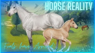 Horse Reality -- Foals have Arrived and Searching for Sooties -- Livestream 4