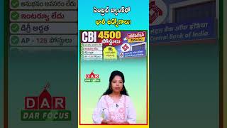 Central Bank of India Recruitment 2026 | 4500 Apprentice Vacancies Announced | DAR FOCUS