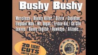 Video voorbeeld van "Elephant Man - Sex (Bushy Bushy Riddim) (2001)"