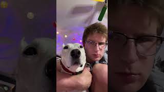 How i feel when i break up my dogs #sad #depressing #heartbreak #sadt...