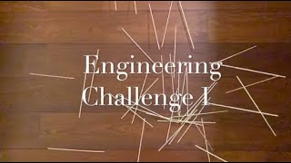 ENGF0001 Challenge 1