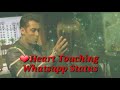 salman khan sad whatsapp status Whatsapp Status Video Download Free