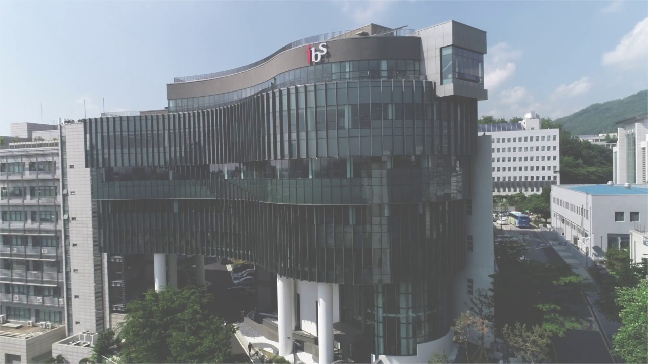 IBS Hall at Yonsei University YouTube
