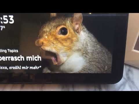 Dieses video hat 1 like 15 aufrufe und 0 Kommentare