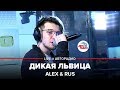 🅰️ Alex & Rus - Дикая Львица (LIVE @ Авторадио)