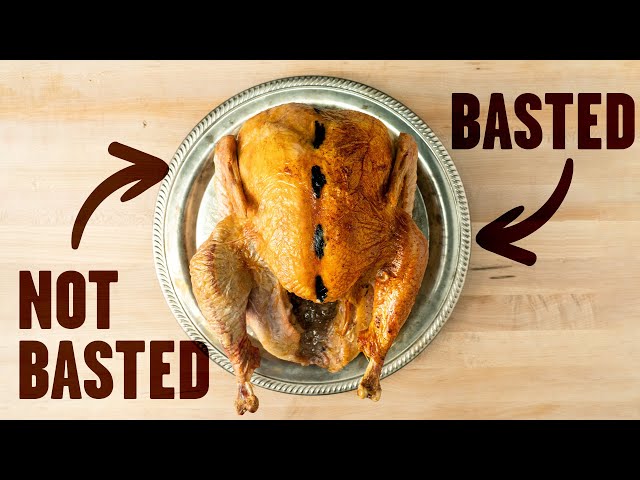 Busting myths about turkey-baster babies