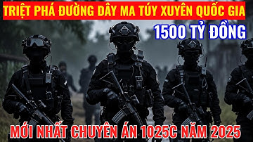 Cập Nhật Vụ Án Mới Nhất Chuyên Án 1025C: Triệt Phá Đường Dây Ma Túy Xuyên Quốc Gia 1500 Tỷ Đồng