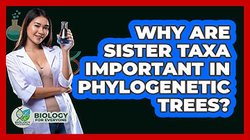 Why Are Sister Taxa Important In Phylogenetic Trees? - Biology For Everyone