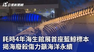 耗時4年海生館展首座藍鯨標本 揭海廢殺傷力籲海洋永續｜20231215 公視晚間新聞