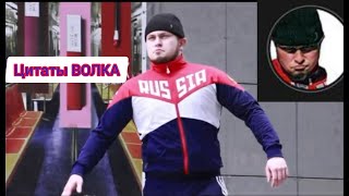 ☝️ЦИТАТЫ ВОЛКА | ВСЕ ЦИТАТЫ ВАСИЛИЯ СОЛИКАМСКОГО | РЕАКЦИЯ - ПРОХОЖИХ ☝️