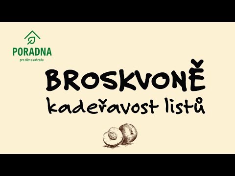 Video: Jak napsat obchodní dopis zákazníkovi: 10 kroků