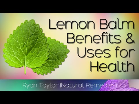 Lemon Balm: Benefits and Uses (Melissa)