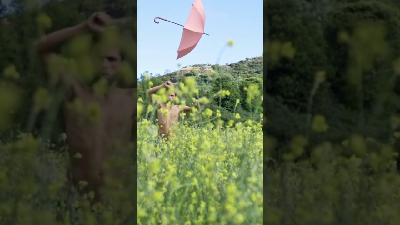 When you grew up in an English Meadow… 🌦️🤣 