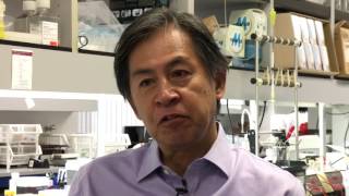 SBP's Dr. Yu Yamaguchi on new finding re: rare bone disease screenshot 1