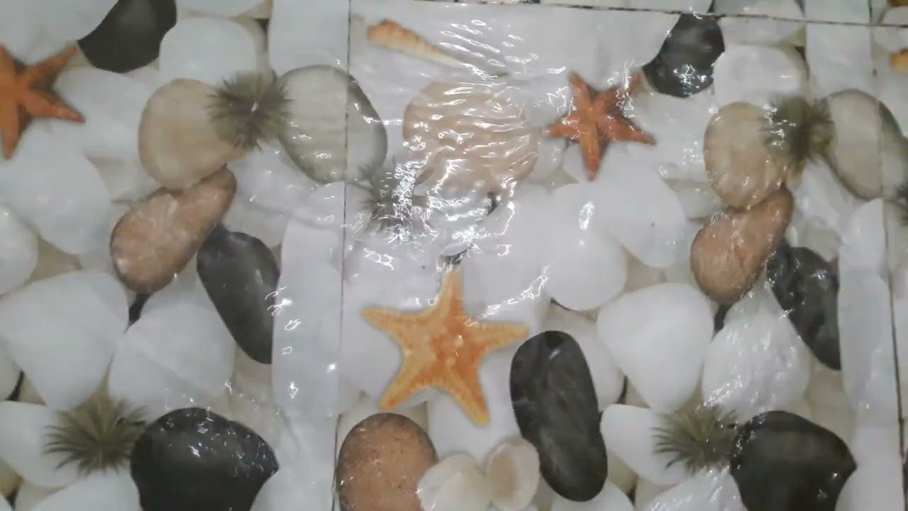 Flood Bathroom Water House (October 28, 2022) Friday