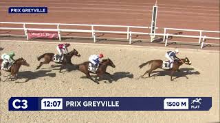 Vidéo de la course PMU PRIX GREYVILLE