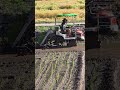 벼 이앙장면 입니다, 260605, 의령군 궁류면, 모잔들판