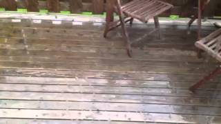 Rain in Moncton. by Serge Pinet 82 views 10 years ago 29 seconds