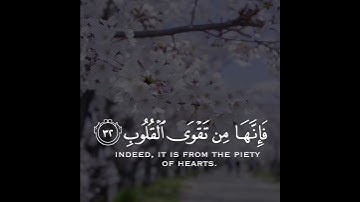تلاوة هادئة وقصيرة   || القارئ : ياسر الدوسري  || سورة : الحج 🌷💚🌷