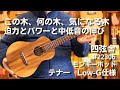 【この木、何の木、気になる木　迫力とパワーと中低音の伸び】四弦舎　#22306　テナー　モンキーポッド単板　Low-G仕様