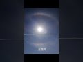 ハロの周りに龍神様が居ました、最後に龍神様の顔が見れます🐉金龍神様ハロ現象幸運の兆し龍神の顔