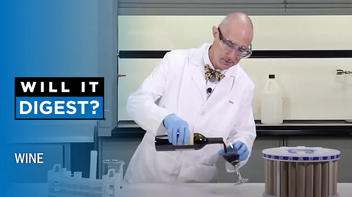 Will It Digest? Episode 11: Digesting Wine - DayDayNews