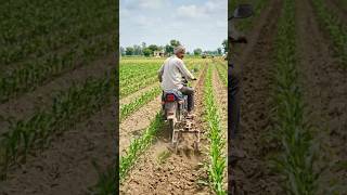 🌿 खरपतवार नियंत्रण के लिए देशी किसान का देशी जुगाड़ 🏍️ Motorcycle finger weeder ✅ shorts #deshijugarh