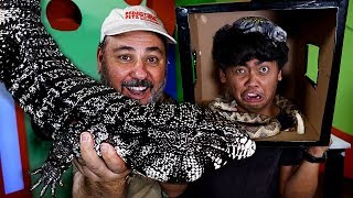 What's In The Box GUAVA?  Fake Snake Prank