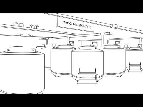 MVE Vario Cryogenic Freezer
