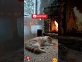 ASMR FIREPLACE SMOOTH JAZZ WINTER AMBIENCE #asmrfireplace #smoothjazz #shorts