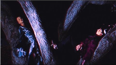 Magic Wands   