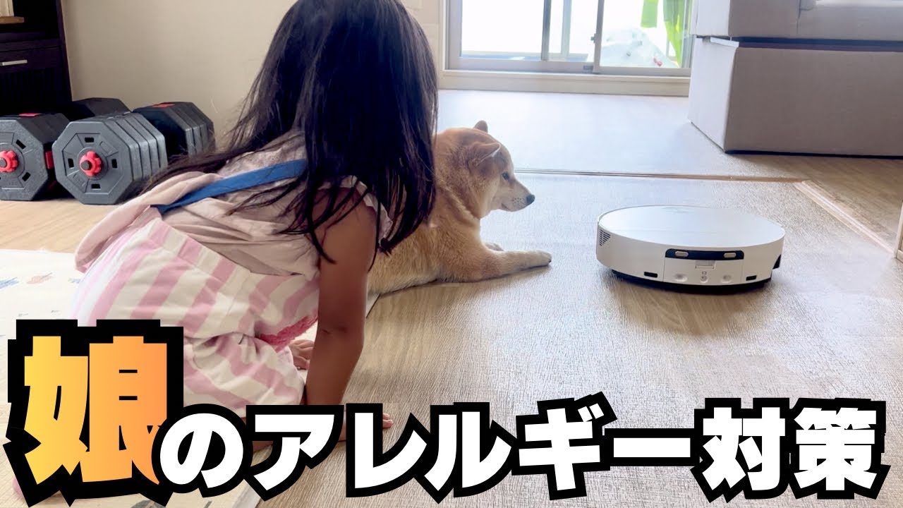 【柴犬多頭飼い】娘のハウスダストアレルギー対策で歴代No.1ロボット掃除機【MOVA S70 Roller】