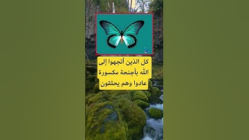 كل الذين أتجهوا إلى الله بأجنحة مكسورة عادوا وهم يحلقون #اكسبلور #اقنباسات #الله #معلومات #تيك_توك
