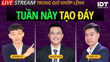 TẠO ĐÁY: Nhận định thị trường chứng khoán hàng ngày | Phân tích cổ phiếu tiềm năng hôm nay