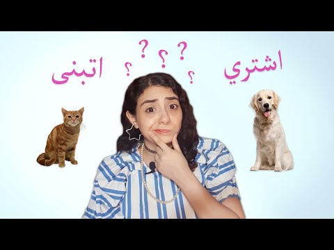 اتبنى ولا اشتري قطط وليه فشلت في تبني كلب
