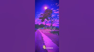 سورة مريم القارئ #ياسر_الدوسري  #فلسطين#السعودية#المغرب#مصر#الجزائر#تونس