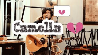 Camelia - Irwansyah cover ( Amrinal Rasadi )