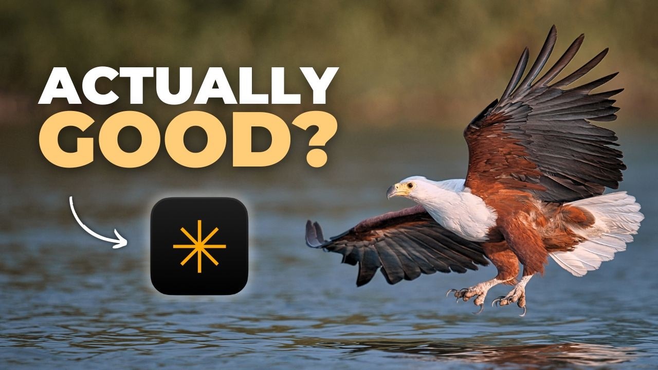 Я попробовал Luminar Neo на своих фотографиях дикой природы.