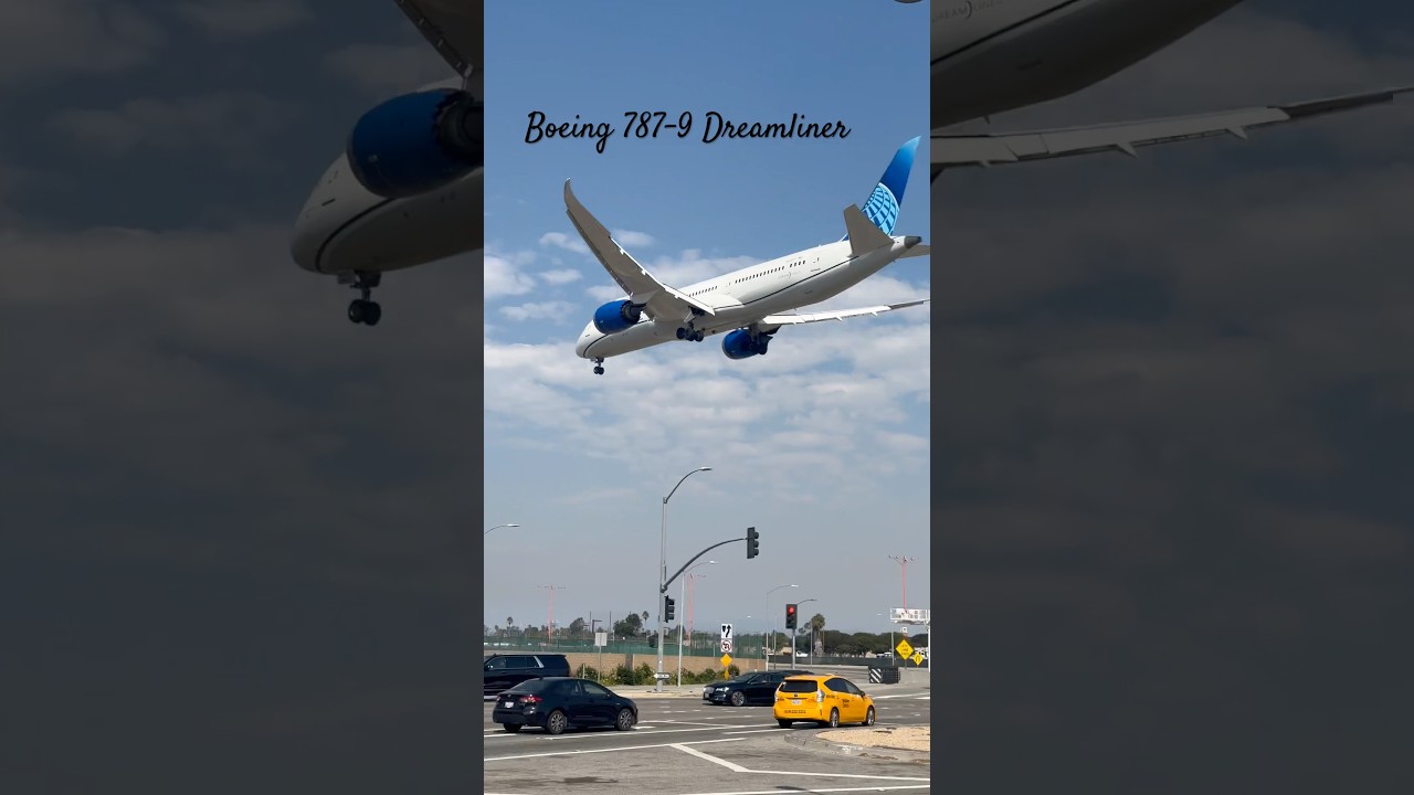 Stunning Low-Flying Boeing 787 Dreamliner Landing at LAX in Los Angeles 