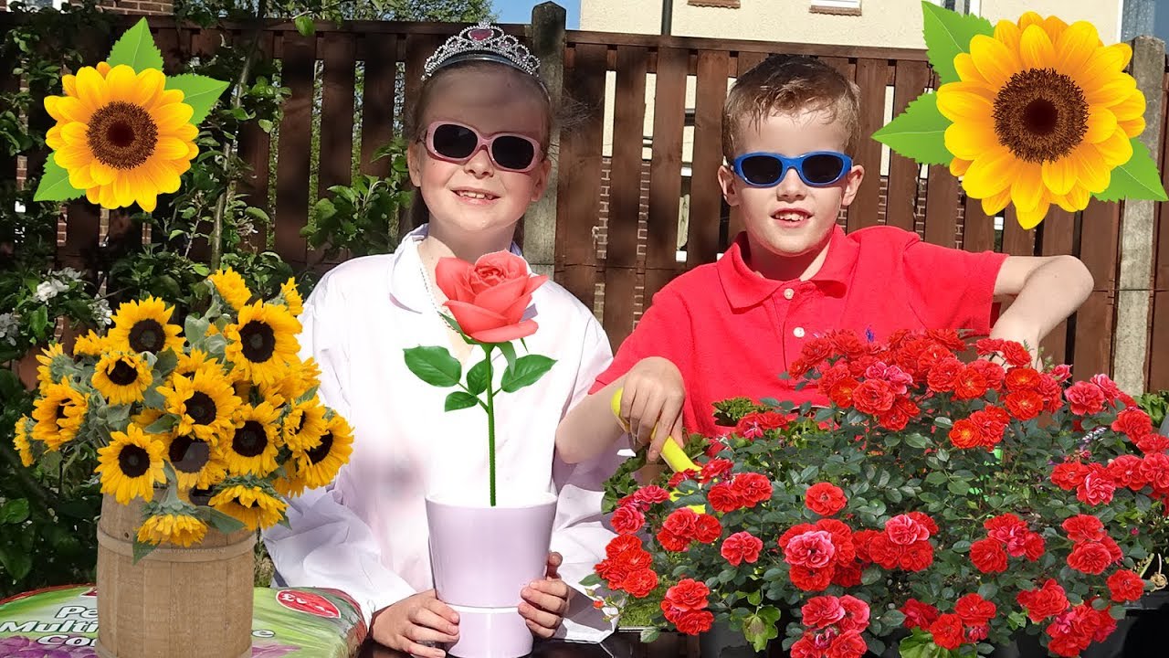 Planting Flowers Video For Kids / Childrens. How to plant magic seeds