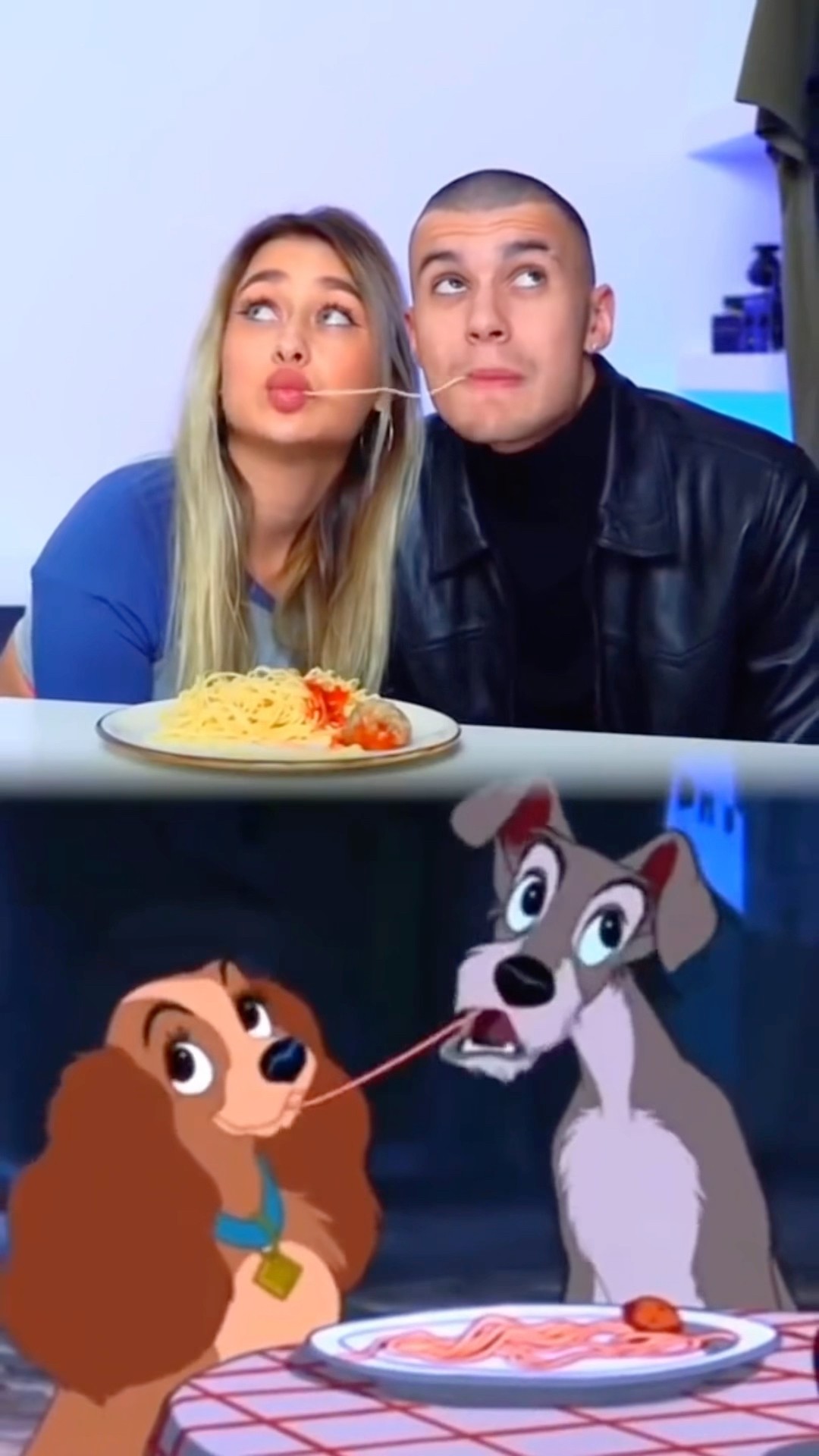 Lady and the Tramp ❤️ / XO TEAM TikTok #shorts #tiktok