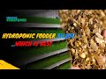 Hydroponic Fodder or Silage ...Which is Best...?  | Ashwin Sawant|silage for cows|silage for cattles