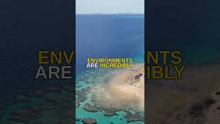 Brine Pools' Unique Ecosystems #Shorts
