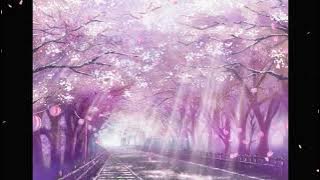 The Distance - Cliff Edge ft Maiko Nakamura (Lyric) ROMAJI