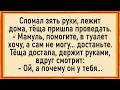 Как тёща за хозяйство схватилась! Сборник свежих анекдотов! Юмор! Mp3 Song