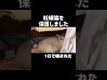 妊婦ねこの人馴れ訓練はじめました